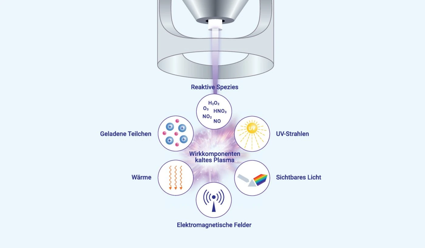 Wirkkomponenten von kaltem Plasma: reaktive Spezies, geladene Teilchen, UV-Strahlen, sichtbares Licht, elektromagnetische Felder und Wärme.