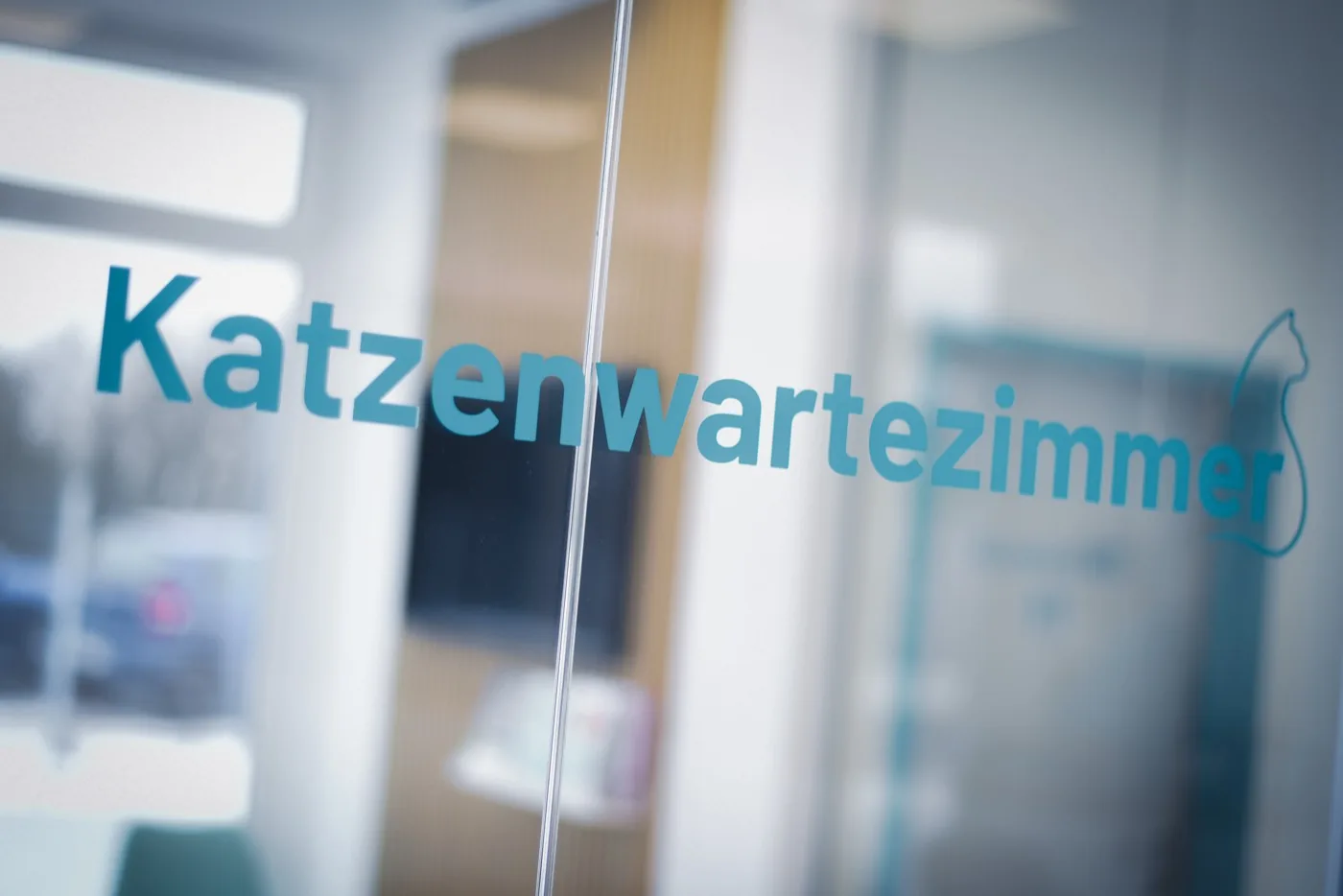 Erhöhte Abstellfläche für die Transportbox im Katzenwartezimmer.