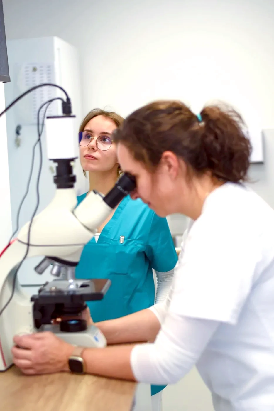 Probenauswertung am Mikroskop im praxiseigenen Labor der Kleintierpraxis Cremlingen.