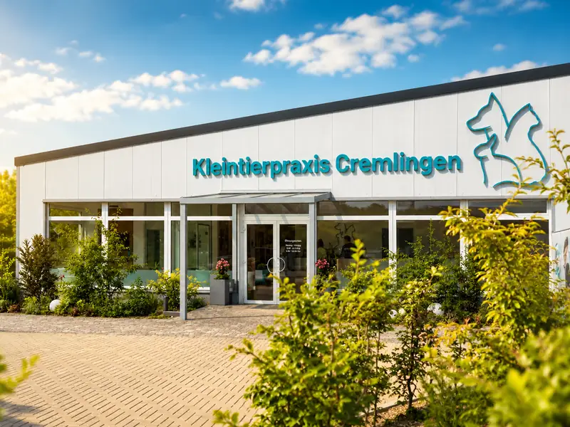 Sommerliche Außenansicht der Kleintierpraxis Cremlingen mit blühendem Vorgarten.