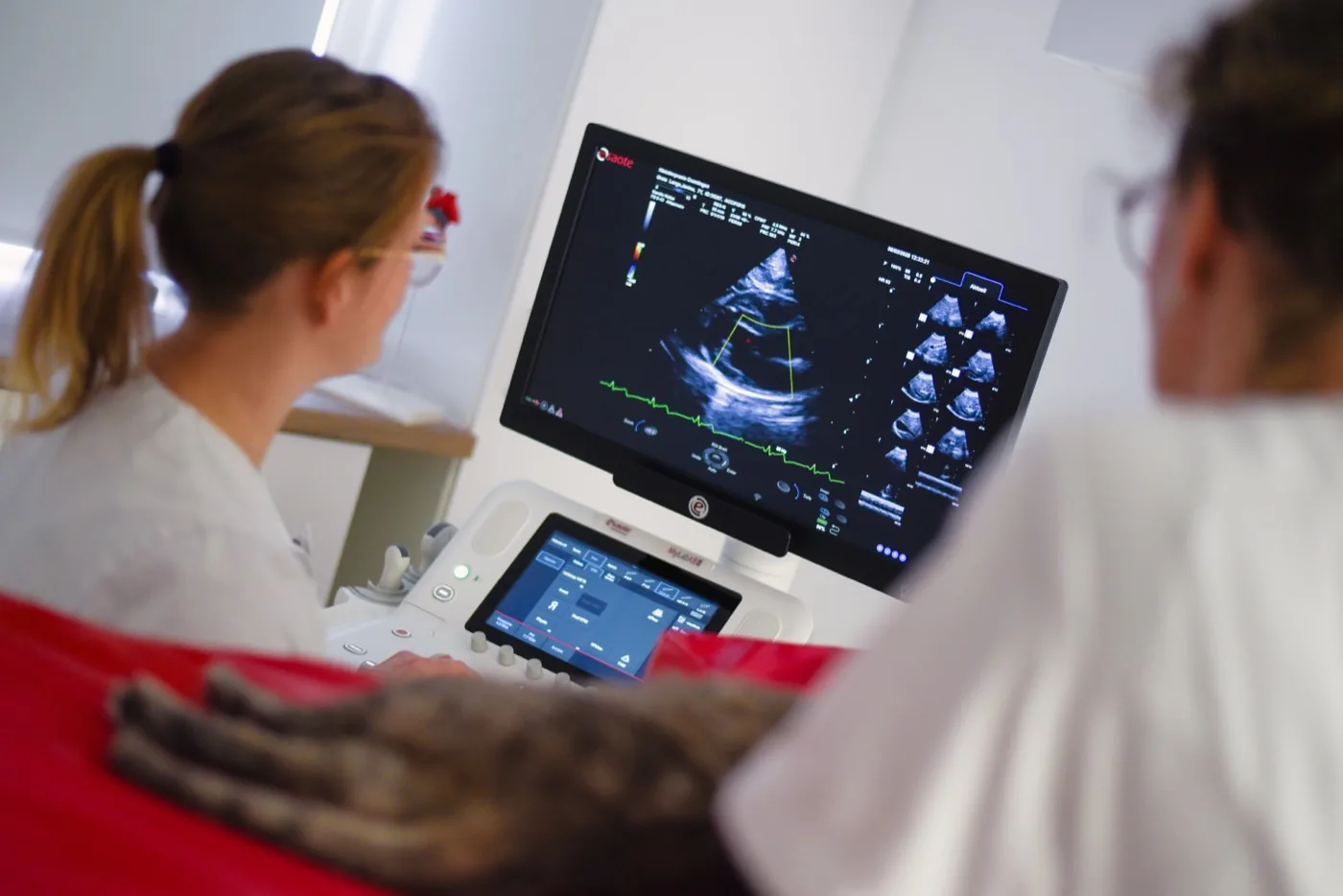 Ultraschalluntersuchung in der Kleintierpraxis Cremlingen — moderne Diagnostik, gut erreichbar aus Wolfenbüttel.