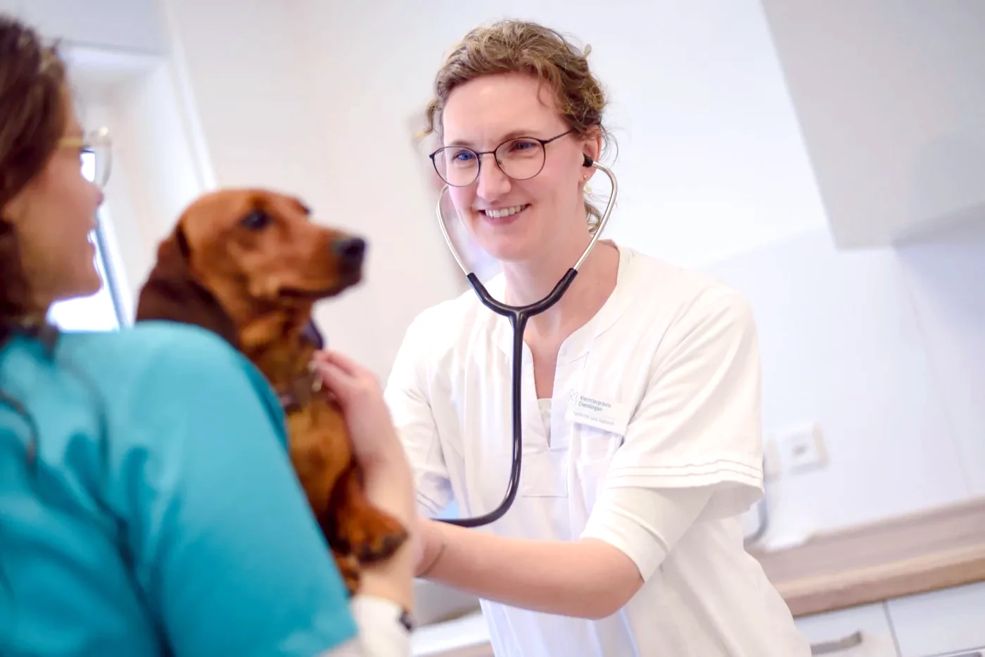 Veterinarian at Kleintierpraxis Cremlingen smiling as she examines a dachshund with a stethoscope while a colleague gently holds the dog.