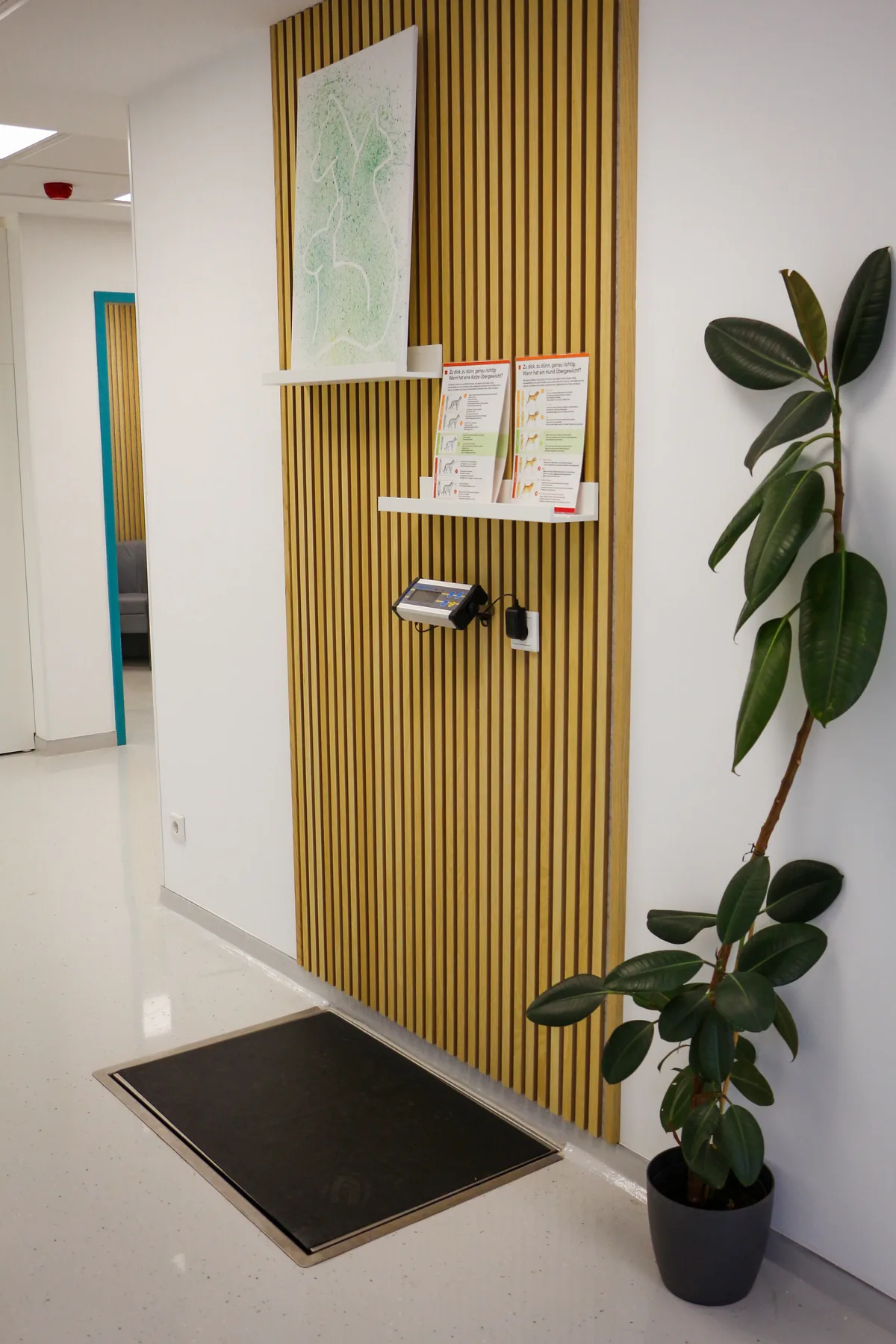 Bodengleiche, ebenerdig in den Boden eingelassene Tierwaage der Kleintierpraxis Cremlingen.