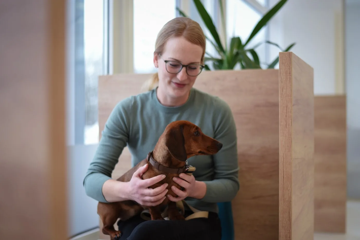 Dog owner holding her dachshund calmly on her lap in the bright waiting area of Kleintierpraxis Cremlingen.