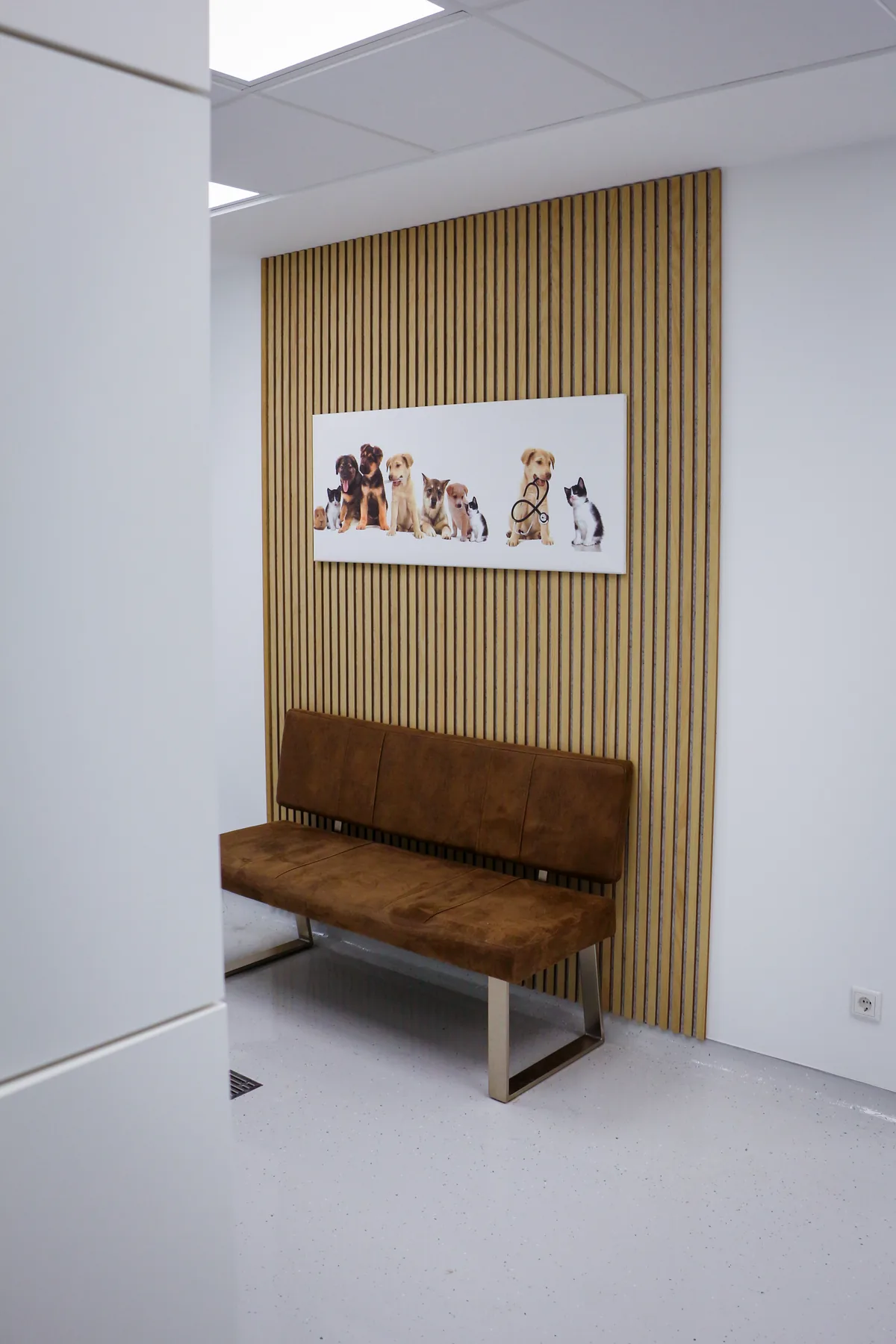 Eigener Wartebereich für Hunde in der Kleintierpraxis Cremlingen mit gemütlicher Sitzbank.