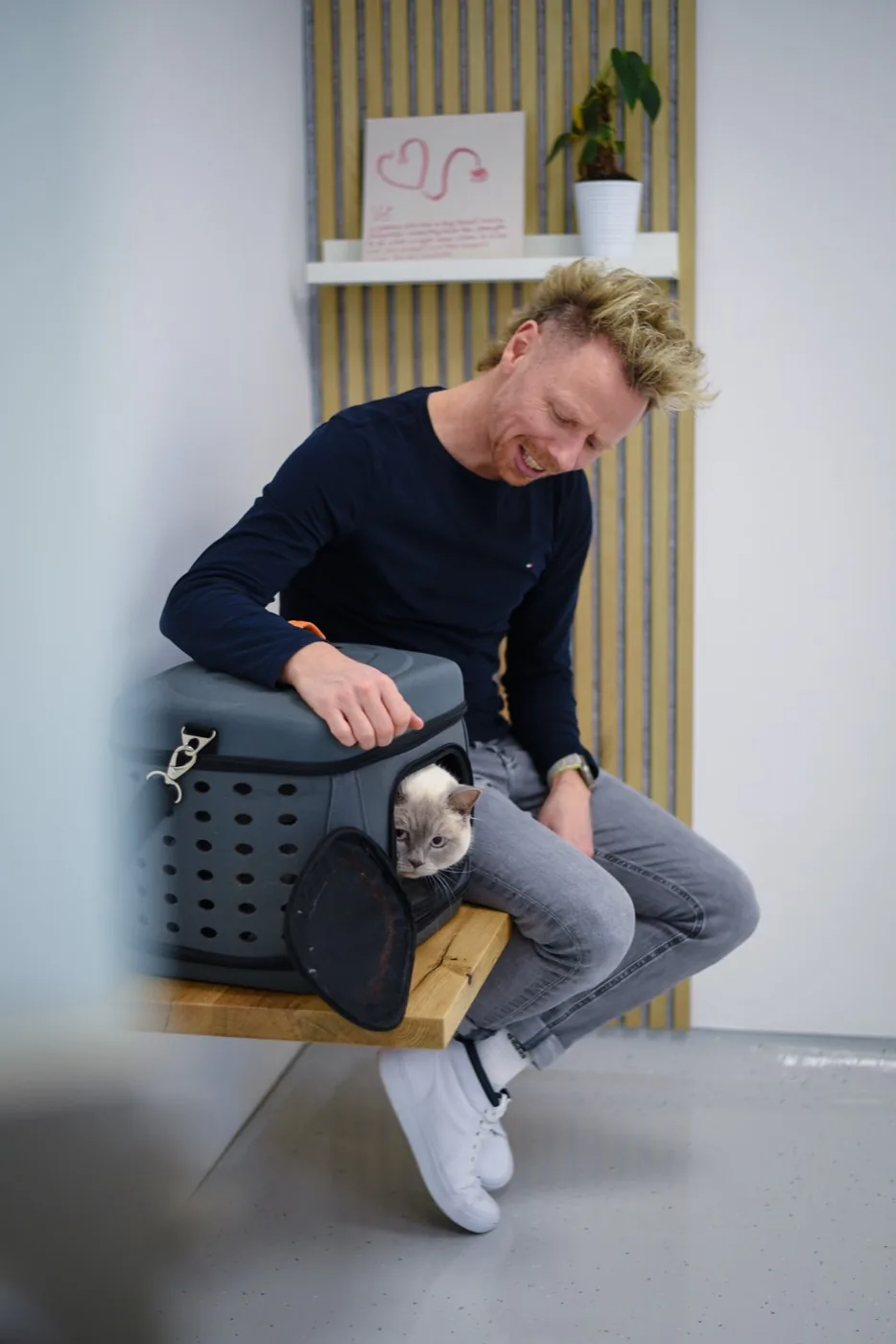 Geschützte Wartekoje für Katzen in der Kleintierpraxis Cremlingen.