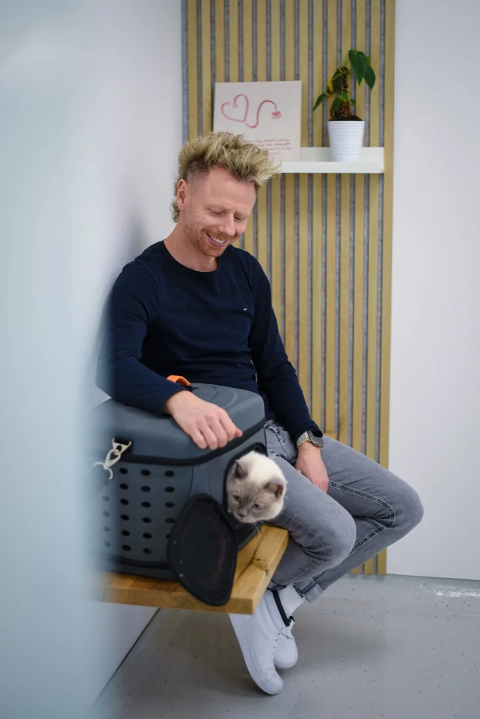 Ruhige Wartekoje für Katzen, getrennt vom Hundebereich.